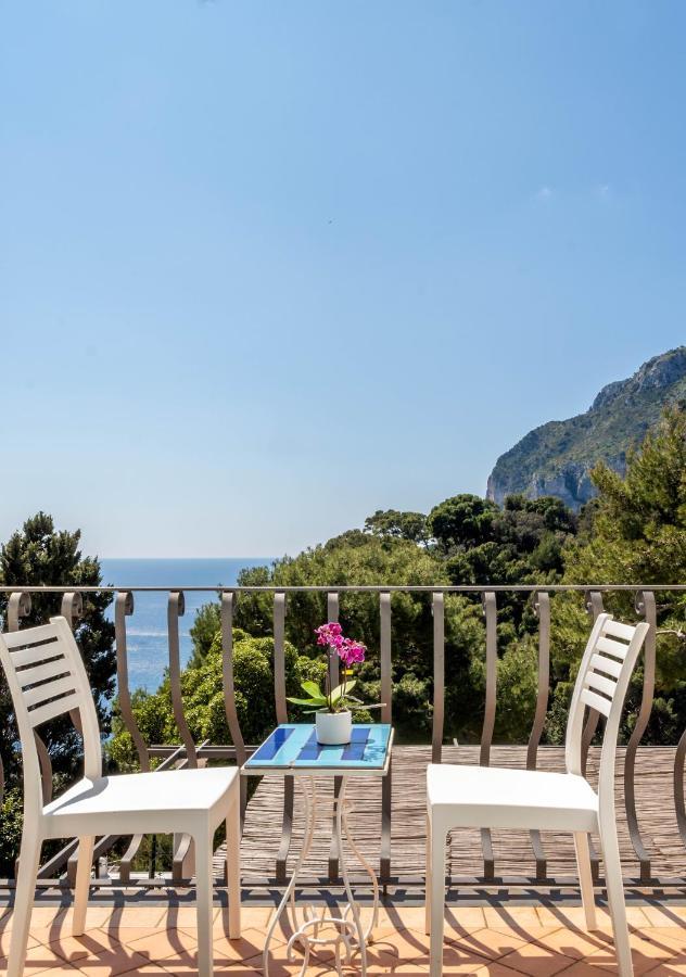 Oliveto Capri Apartments Екстериор снимка